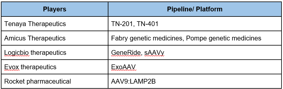 Some key small players in the CGT area along with their pipeline/ technologies