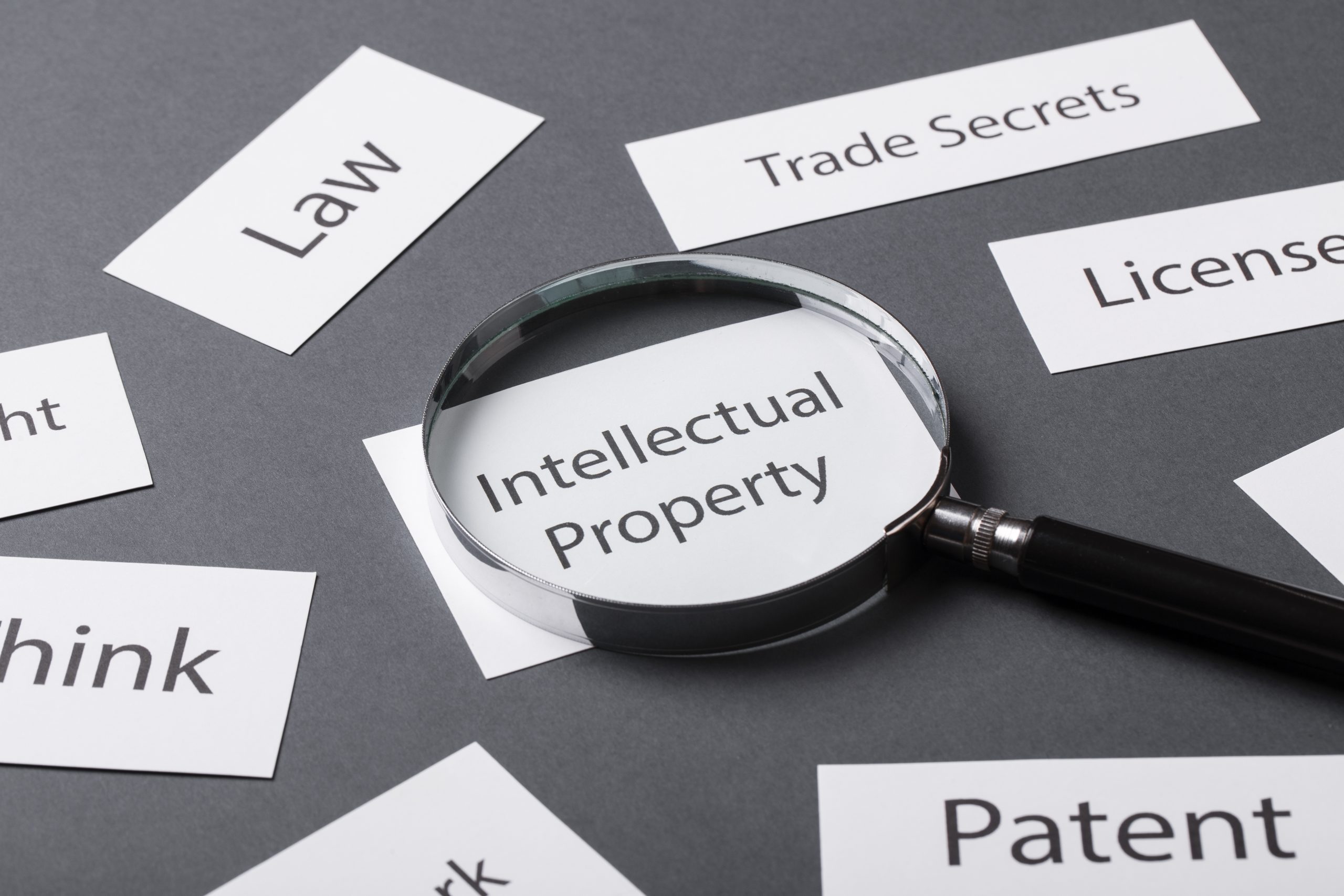 5 Intellectual Property Career Paths for Science Graduates